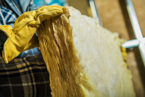 Best Cellulose Insulation in Dumfries, VA