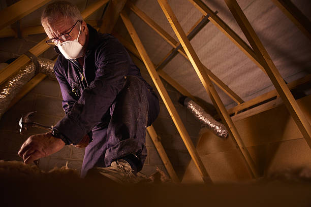 Best Specialized Insulation Services in Dumfries, VA